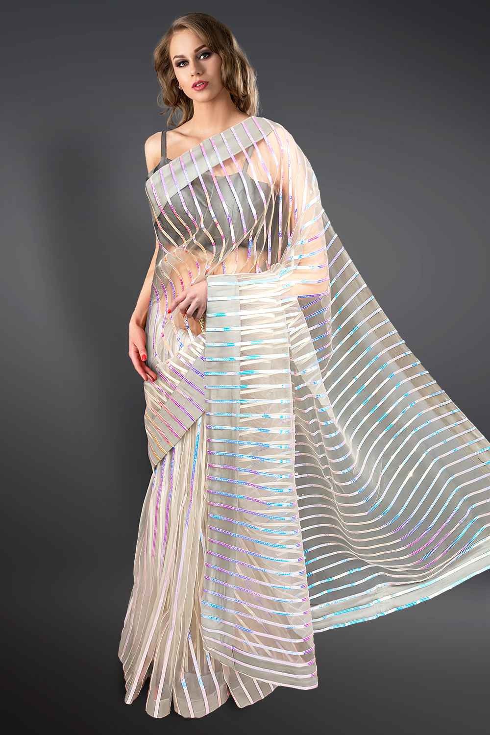 Grey Net Saree